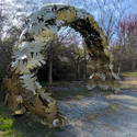 Oak Leaf Arch I. Jim Gallucci